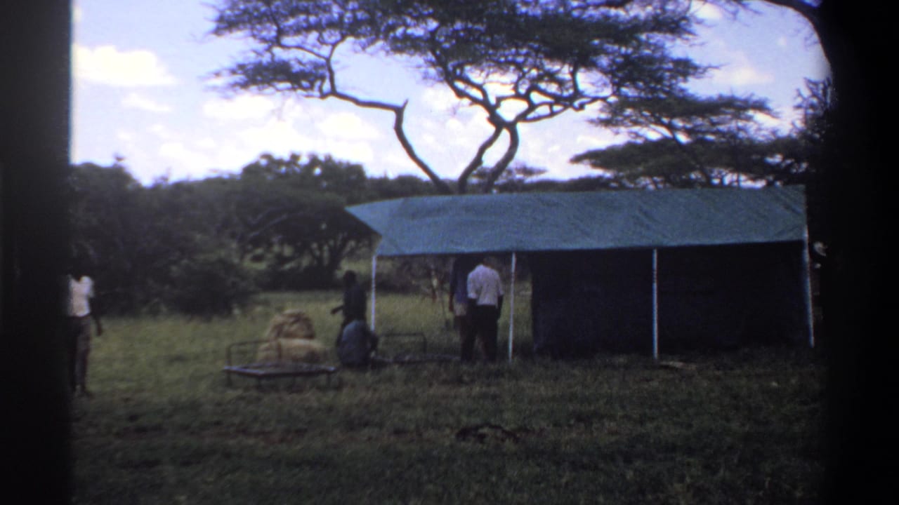 1969 Nigeria home-movie frame showing people near a simple roofed shelter, canvas or bags, grass, and broad-canopied trees.