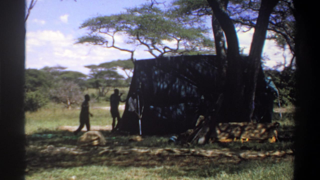 Silhouetted people move beside a large dark tent under trees in a grassy landscape.