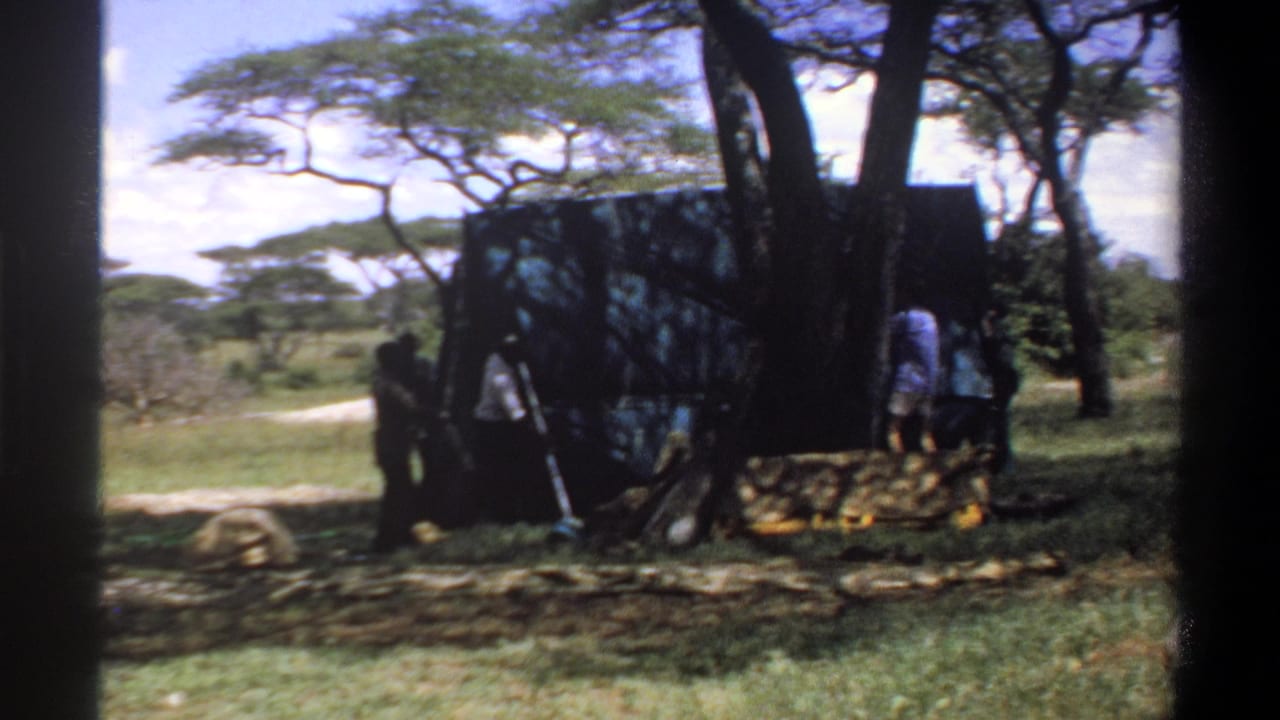 1969 Nigeria 8mm frame showing people working around a dark tent or tarp structure beneath trees in bright daylight.