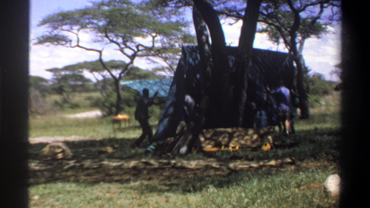 1969 Lagos, Nigeria home-movie frame showing adults around a dark tarp shelter under large shade trees with a blue canopy nearby.