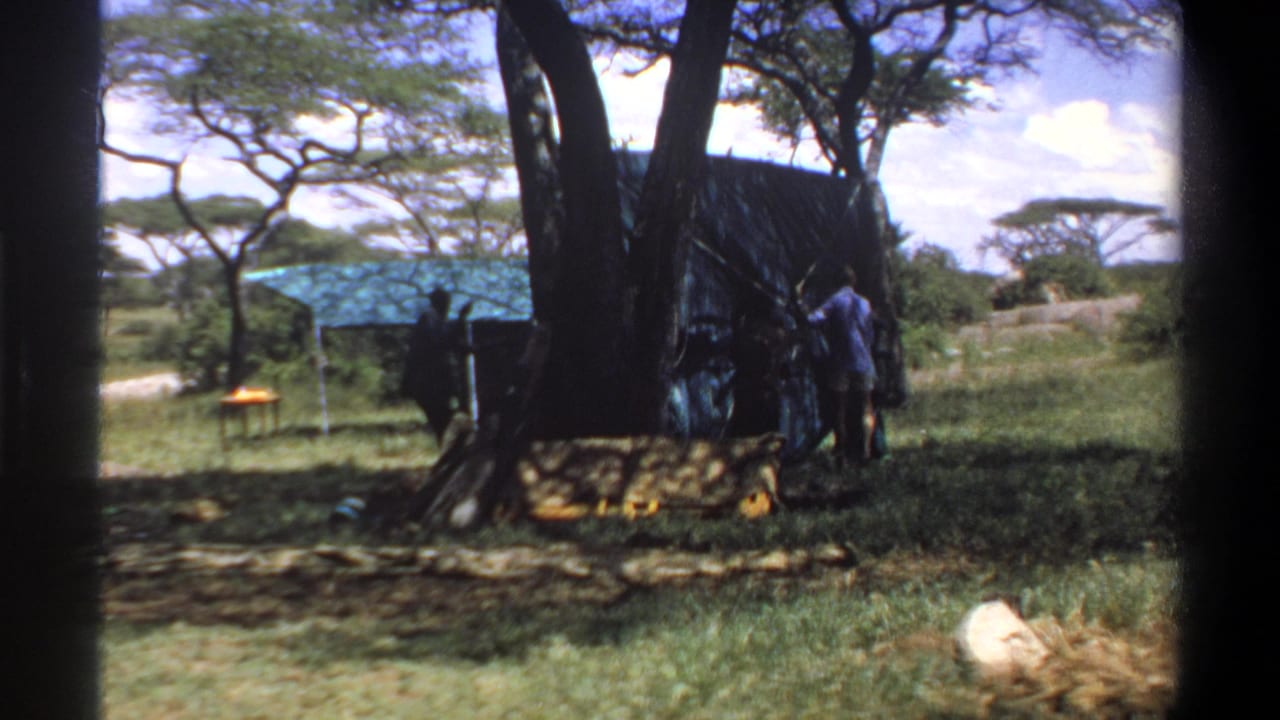People stand beside a tarp-covered structure under trees, with a blue canopy in the background.
