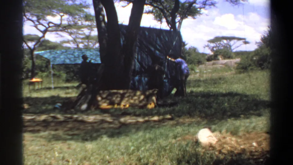 1969 Lagos, Nigeria frame showing adults around a temporary tarp structure beneath trees, filmed from a distant handheld viewpoint.
