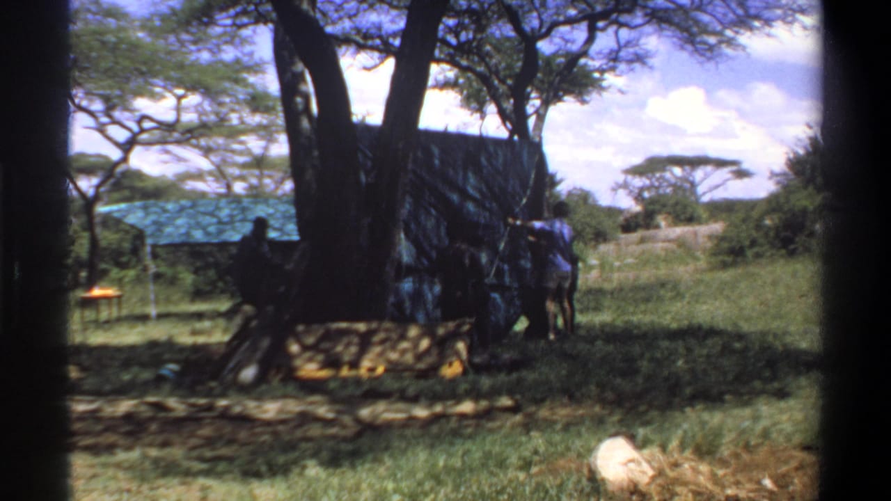 A person stands beside a dark tarp shelter under trees, with a small structure behind.
