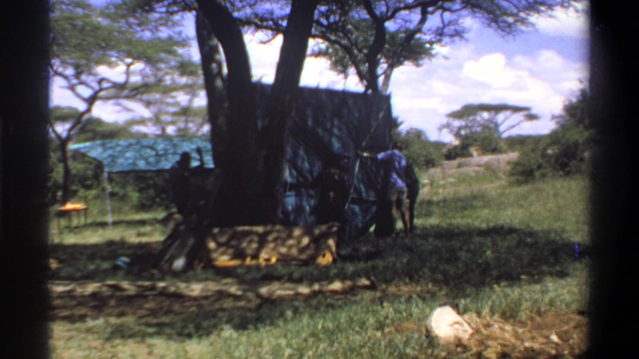 1969 Lagos, Nigeria 8mm frame showing a tarp shelter, a person, tree trunks, and grass in a temporary camp area.