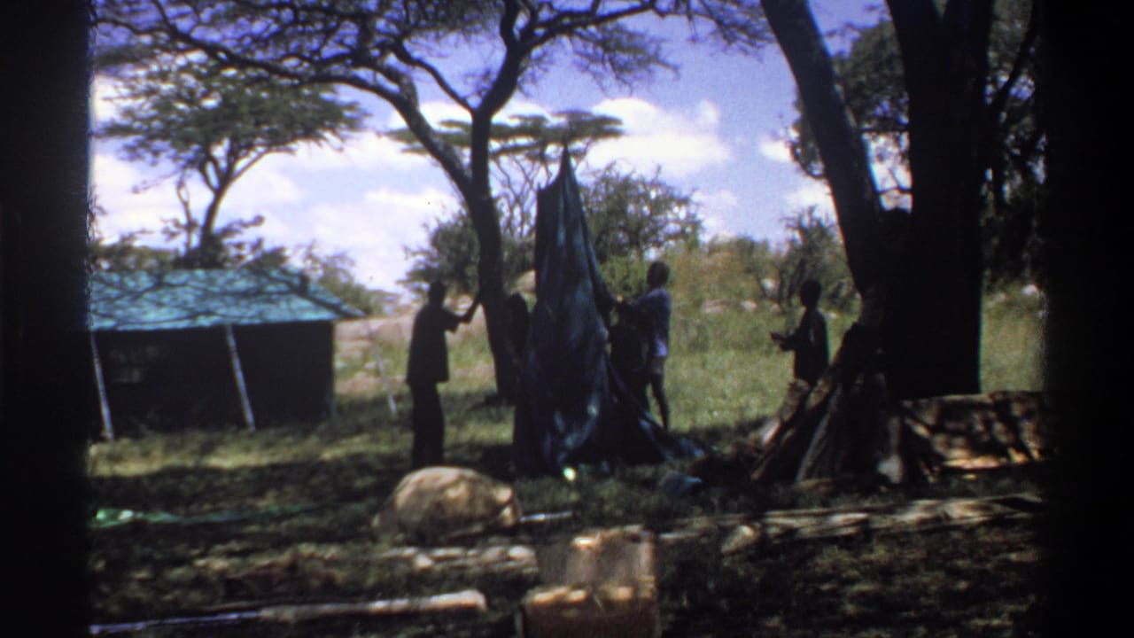 Several men in 1969 Lagos home-movie footage handle a raised blue tarp or tent beneath tall trees and a bright sky.