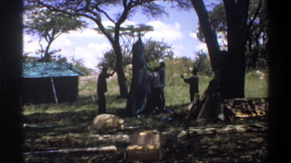 The Lagos scene shows men coordinating around a tent or awning frame, with bush vegetation and shade trees visible behind them.