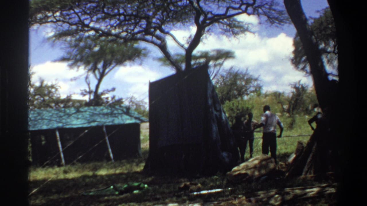 Several adults move near a shed panel in a sunny grassy clearing.