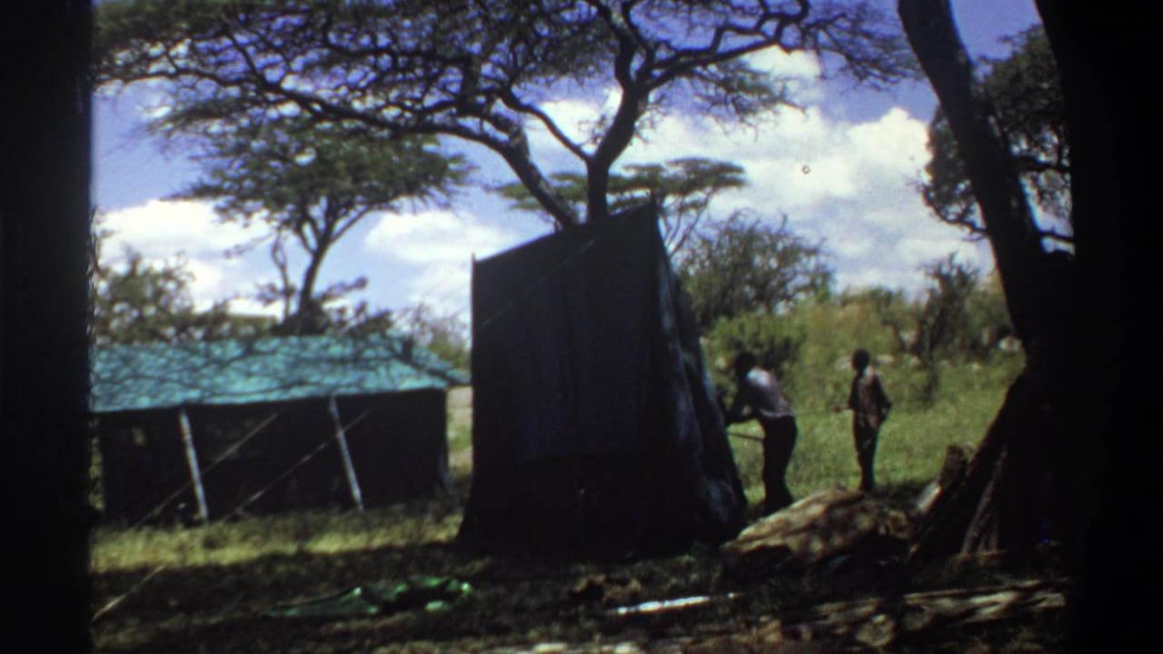 1969 Lagos frame showing two adults handling a long plank near a dark shed panel, with grass, trees, and a low roofed structure nearby.