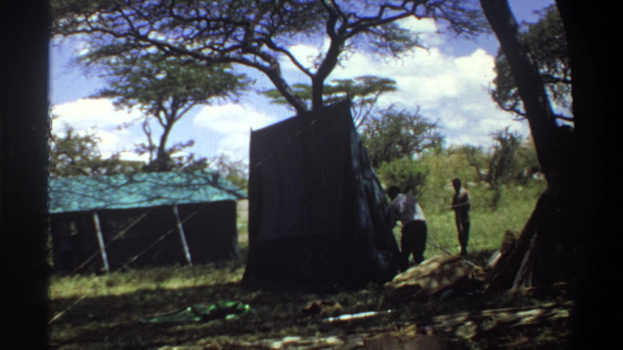 1969 Lagos, Nigeria home-movie still showing people beside a large dark tent panel in a sunlit grassy campsite.
