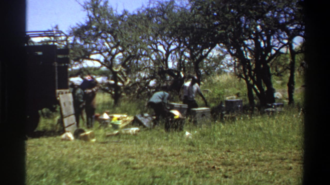 Several people unload or sort items beside a dark truck under trees in a grassy field.
