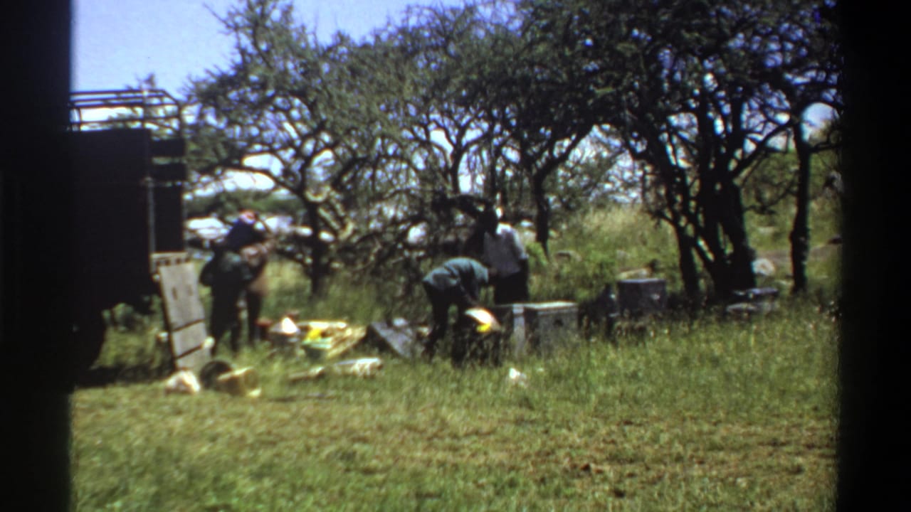 1969 Lagos-area frame showing people sorting gear and containers beside a truck in a wooded grassland setting.