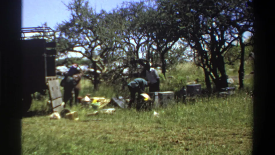 1969 Lagos-area frame showing people sorting gear and containers beside a truck in a wooded grassland setting.