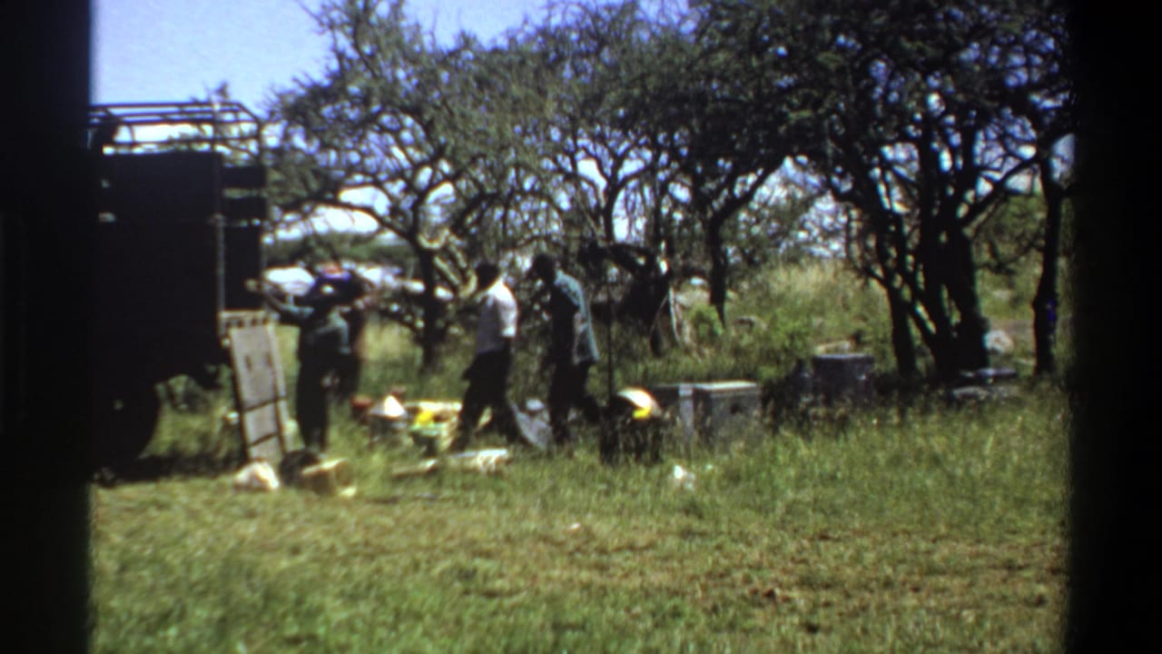 1969 Lagos 8mm frame with adults walking and working near supplies, a dark truck, and trees.
