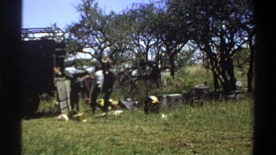 In 1969 Lagos home-movie footage, several workers appear beside a dark truck in a grassy, tree-lined farm setting.
