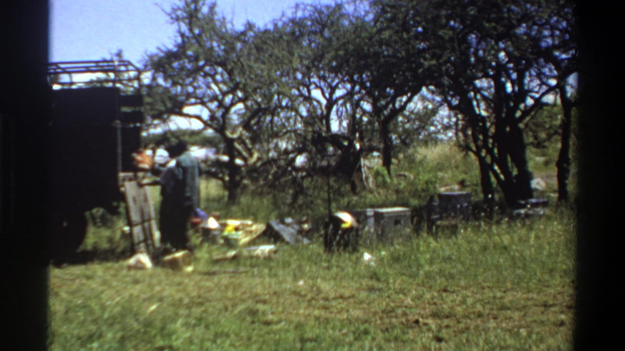 A worker is visible near the dark truck in the Lagos orchard scene, with containers and equipment spread across the grass.