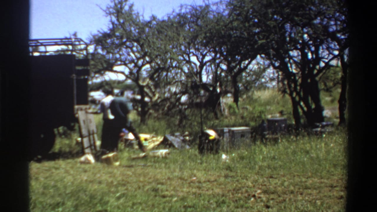 In the 1969 Lagos farm scene, a worker bends toward items on the ground beside the truck while trees shade the area.