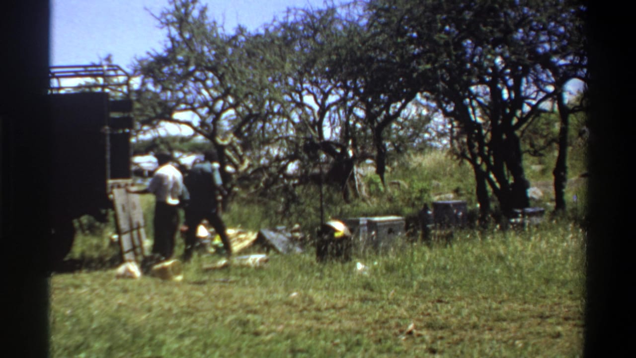 Two workers remain near the truck in the 1969 Lagos orchard footage, with unloading supplies visible on the ground.