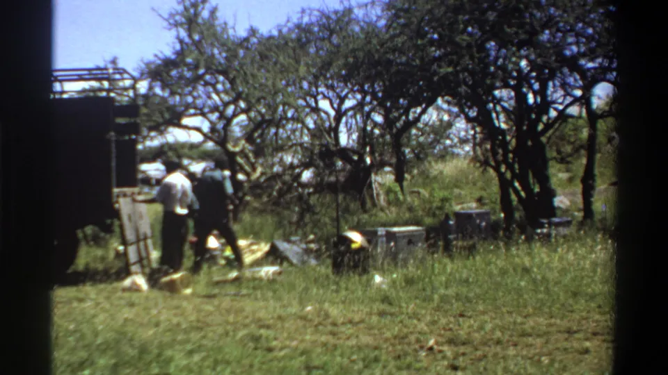 Two workers remain near the truck in the 1969 Lagos orchard footage, with unloading supplies visible on the ground.