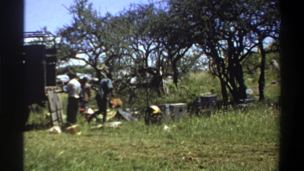 In 1969 Lagos, Nigeria, adult men appear beside a dark truck with items set on the grass beneath trees.