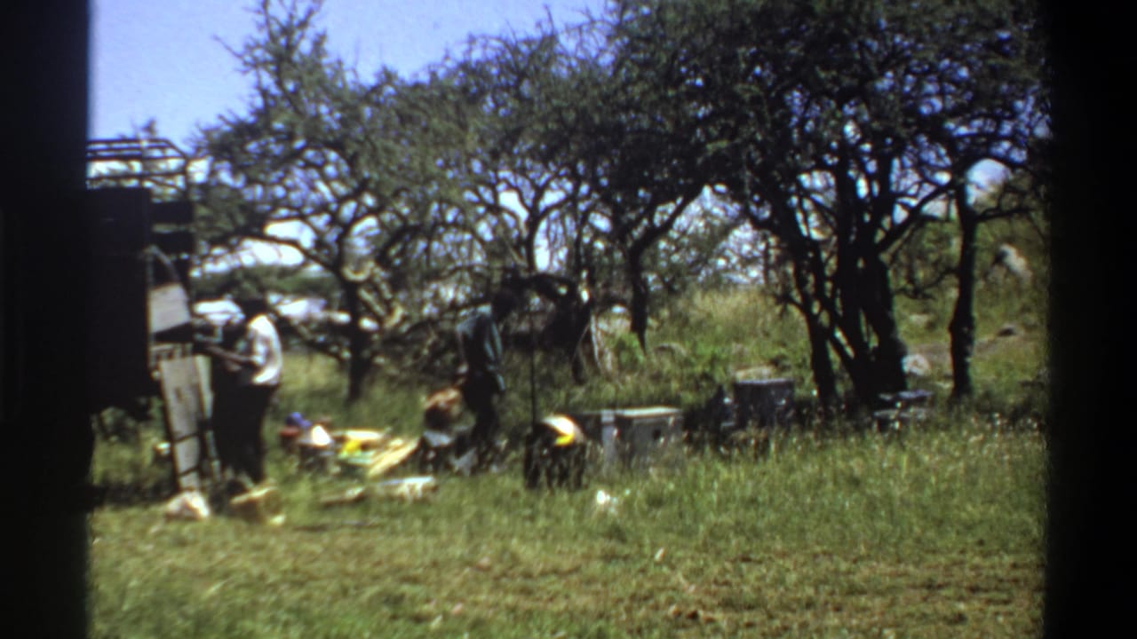 Adult men in Lagos, Nigeria, handle items beside a truck while trees and tall grass fill the background.