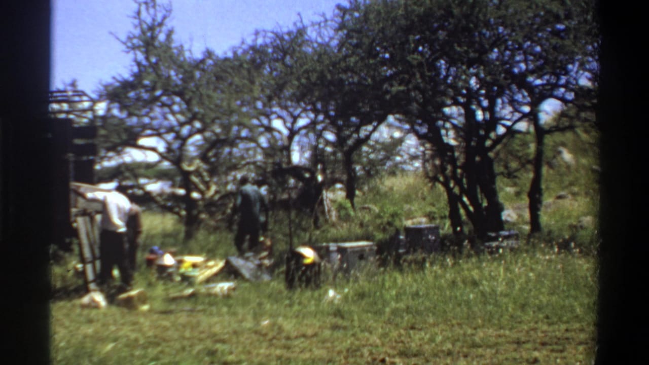 Adult men remain near a truck and scattered supplies in a grassy Lagos outdoor setting, filmed on 8mm in 1969.