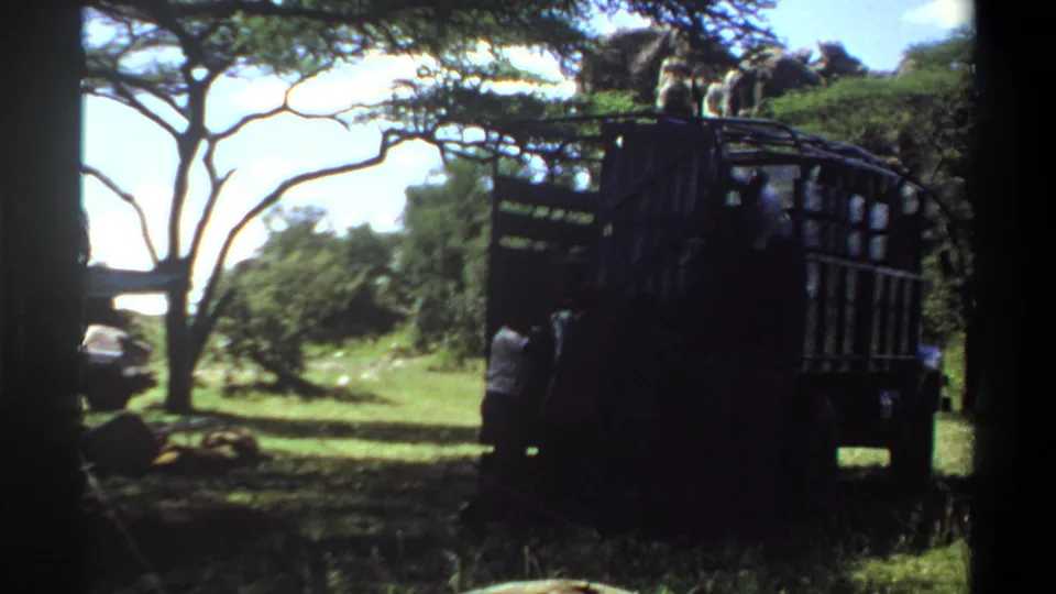 1969 Lagos, Nigeria frame with a large dark animal transport truck under trees and people working around it.
