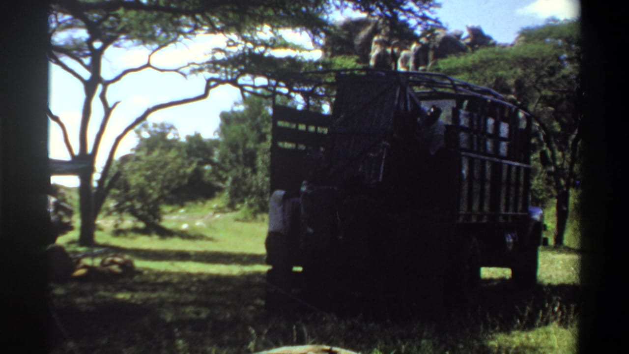 1969 Lagos, Nigeria 8mm frame showing a large truck in wooded grassland with people positioned around the vehicle.