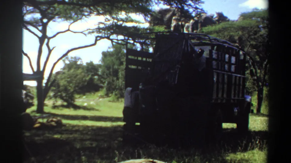 1969 Lagos, Nigeria 8mm frame showing a large truck in wooded grassland with people positioned around the vehicle.