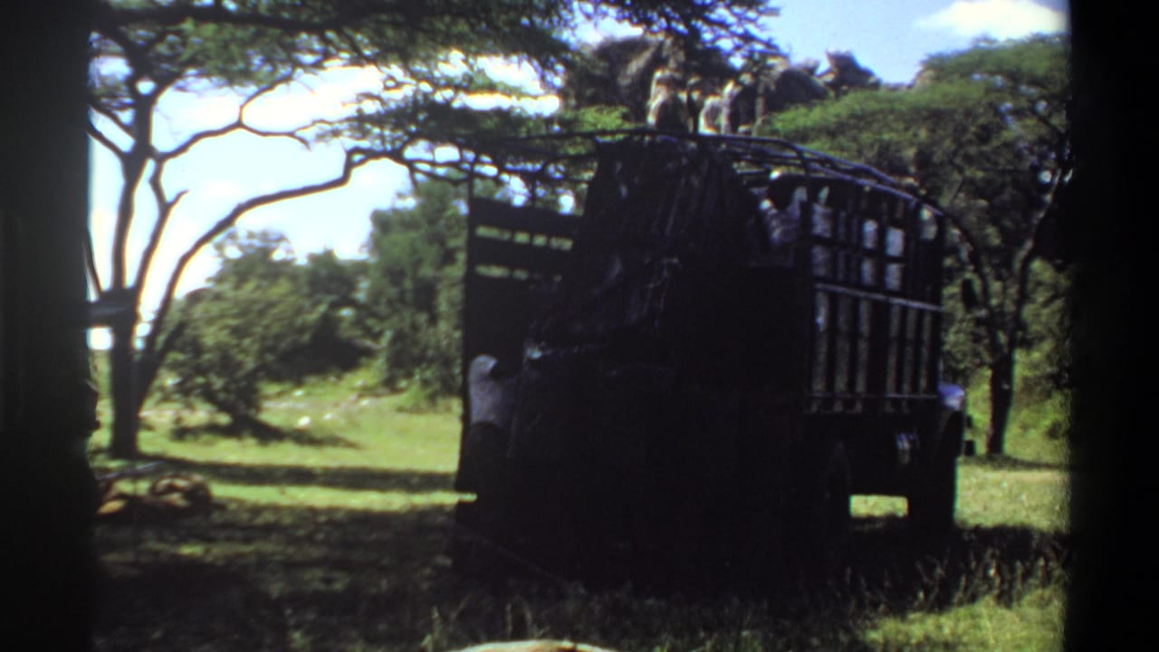 1969 Lagos, Nigeria frame of a shaded transport truck with people on top and trees across a sunlit clearing.