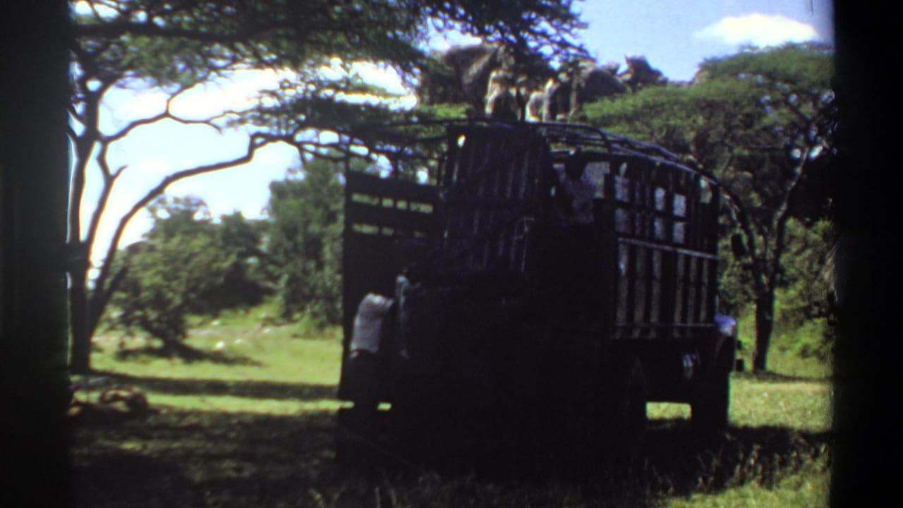 1969 Lagos 8mm frame showing a shadowed truck under trees as workers stand near a large rear load in grass.