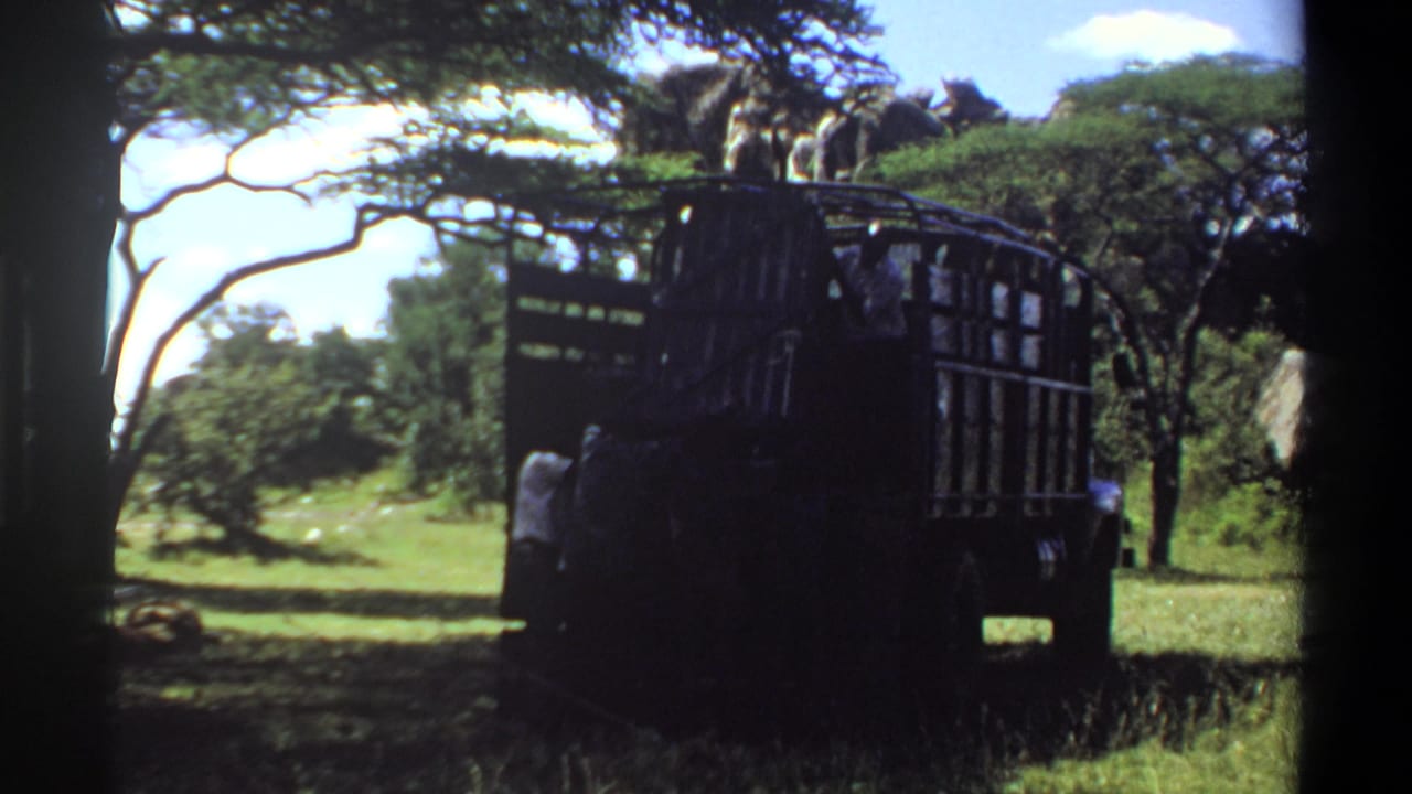 Truck rear and side in shade with grassy clearing and trees behind it.