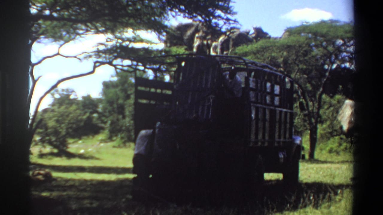 1969 Lagos 8mm view of a truck in grass with workers partly obscured as they handle a heavy rear load.