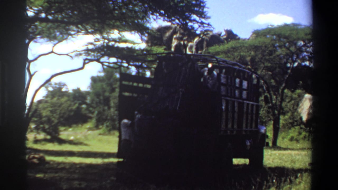 1969 Lagos frame showing the truck in deep shade with trees and grass around it and a partly visible person near the side.