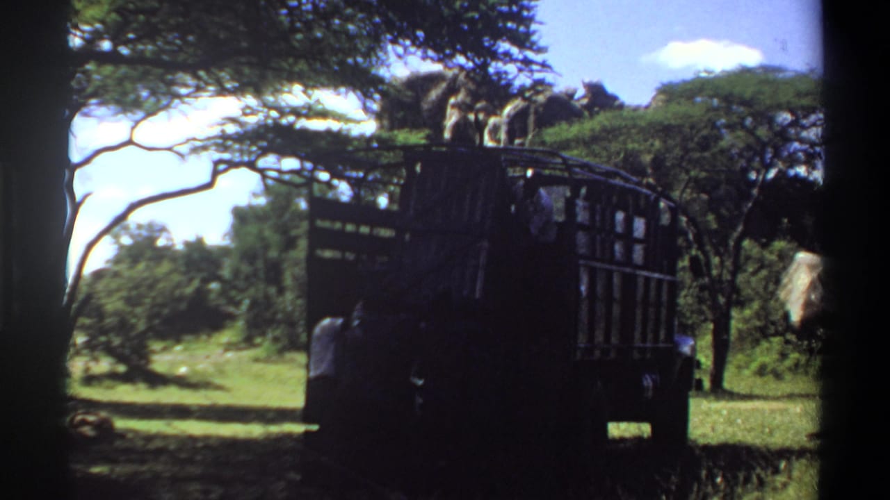 Truck in shade beneath trees, with people visible in the rear cargo area.