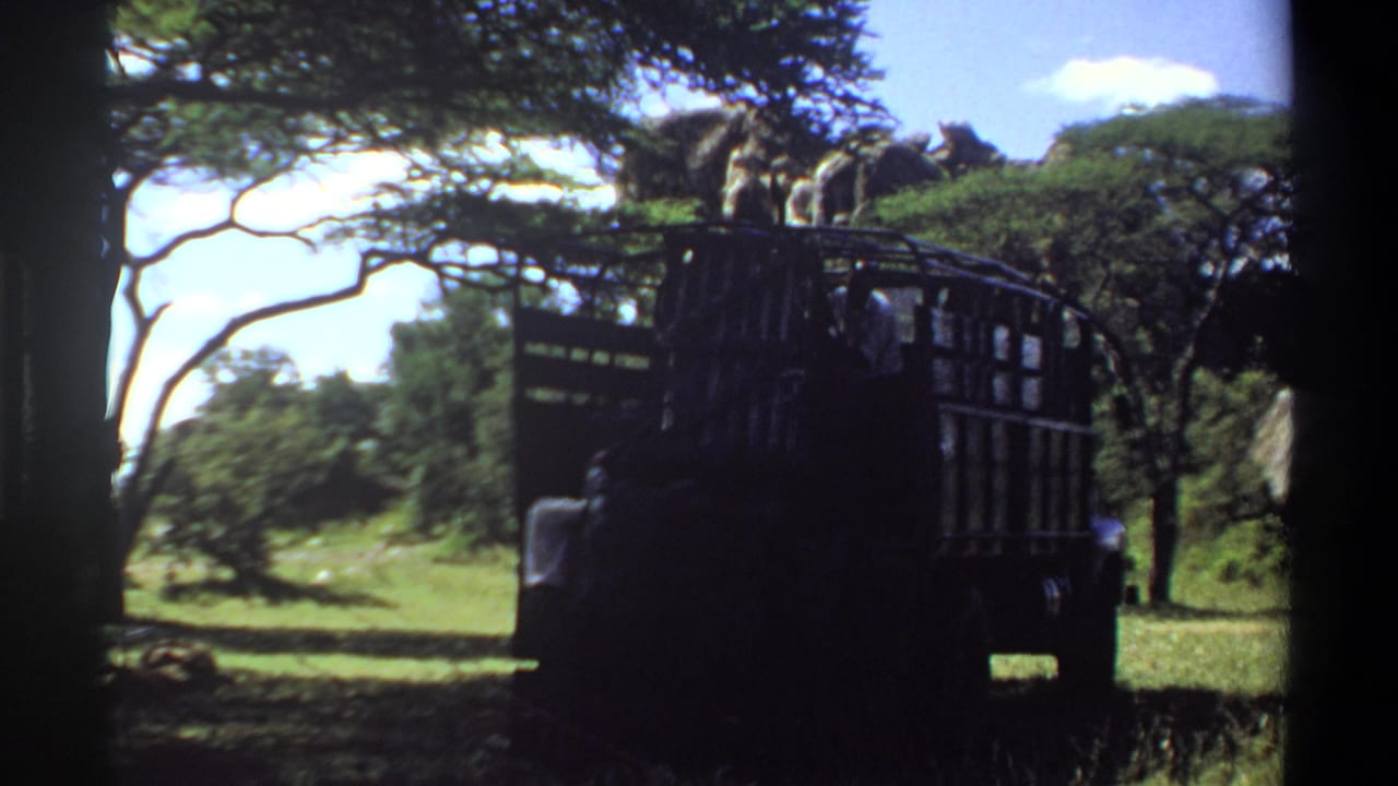 1969 Lagos 8mm frame with the truck mostly in silhouette beneath trees and people visible along the upper edge of the cargo bed.