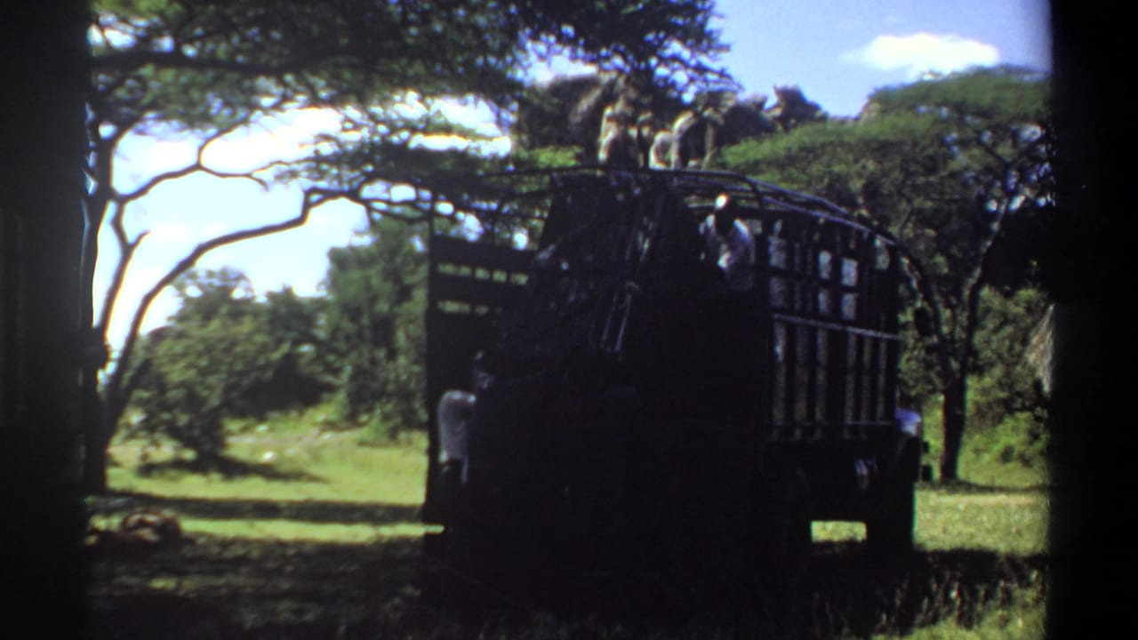 Dark open-sided truck stopped under trees in a grassy landscape with people visible near the vehicle.