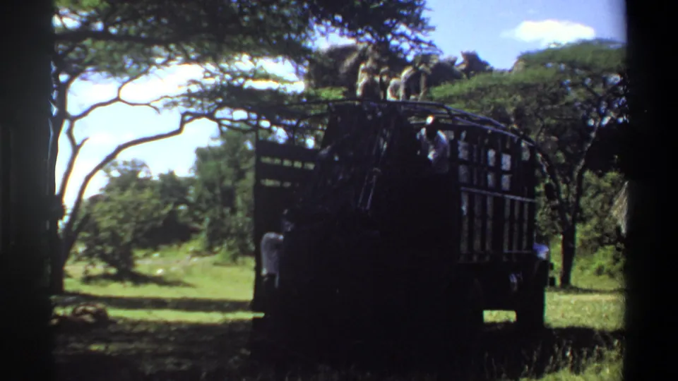 1969 Lagos, Nigeria home-movie frame showing a dark safari-style truck paused under trees beside grass and rocks, with people visible in and near it.