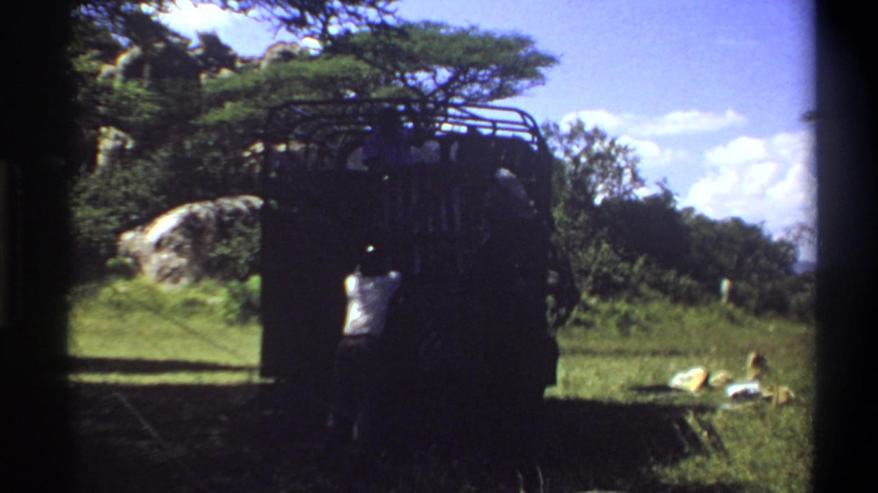 1969 Lagos home-movie frame showing a dark roof-rack truck in grass with a man in a light shirt near the rear.