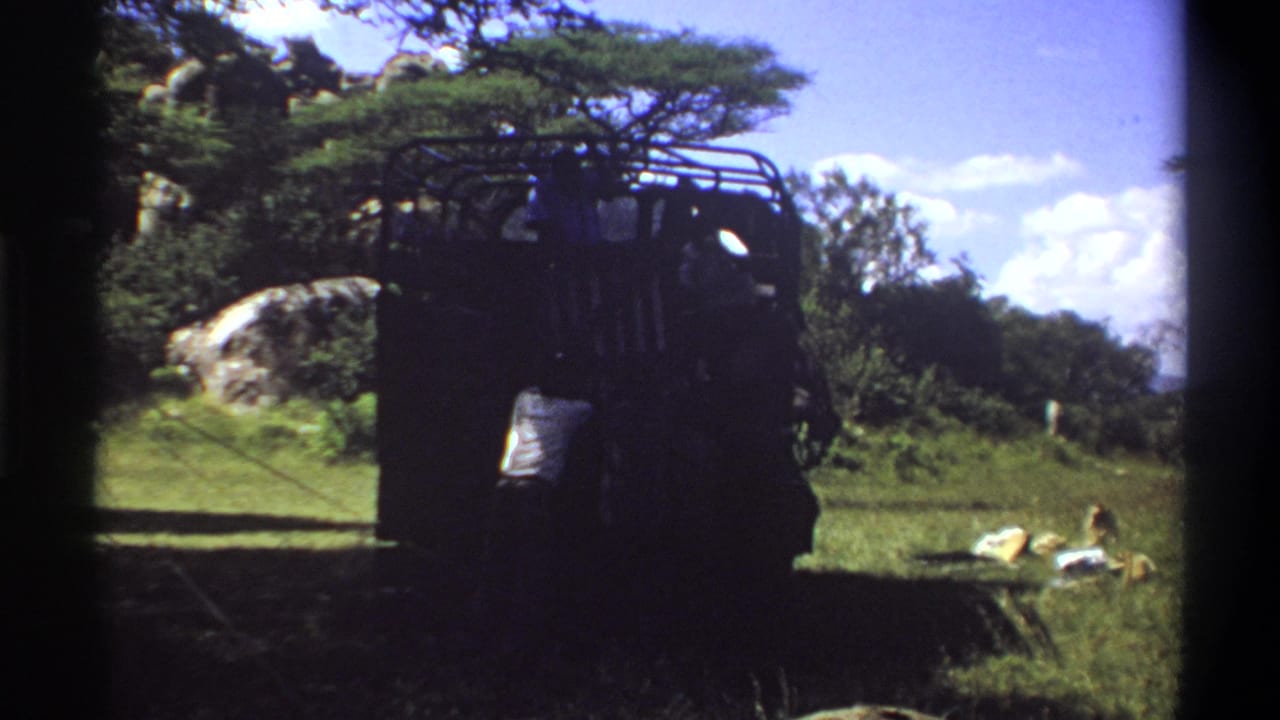 Man in a light shirt stands behind a dark truck in a grassy outdoor setting.
