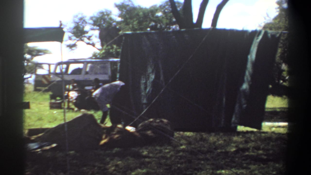 The frame shows a person adjusting material beside a large dark tarp, with a white vehicle, trees, grass, and poles visible in the 1969 Lagos footage.