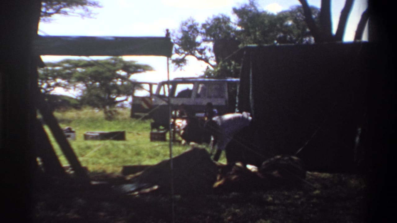 1969 Lagos campsite scene with a man in light clothing working near wood, a dark tent or shelter, trees, grass, and a parked white vehicle.