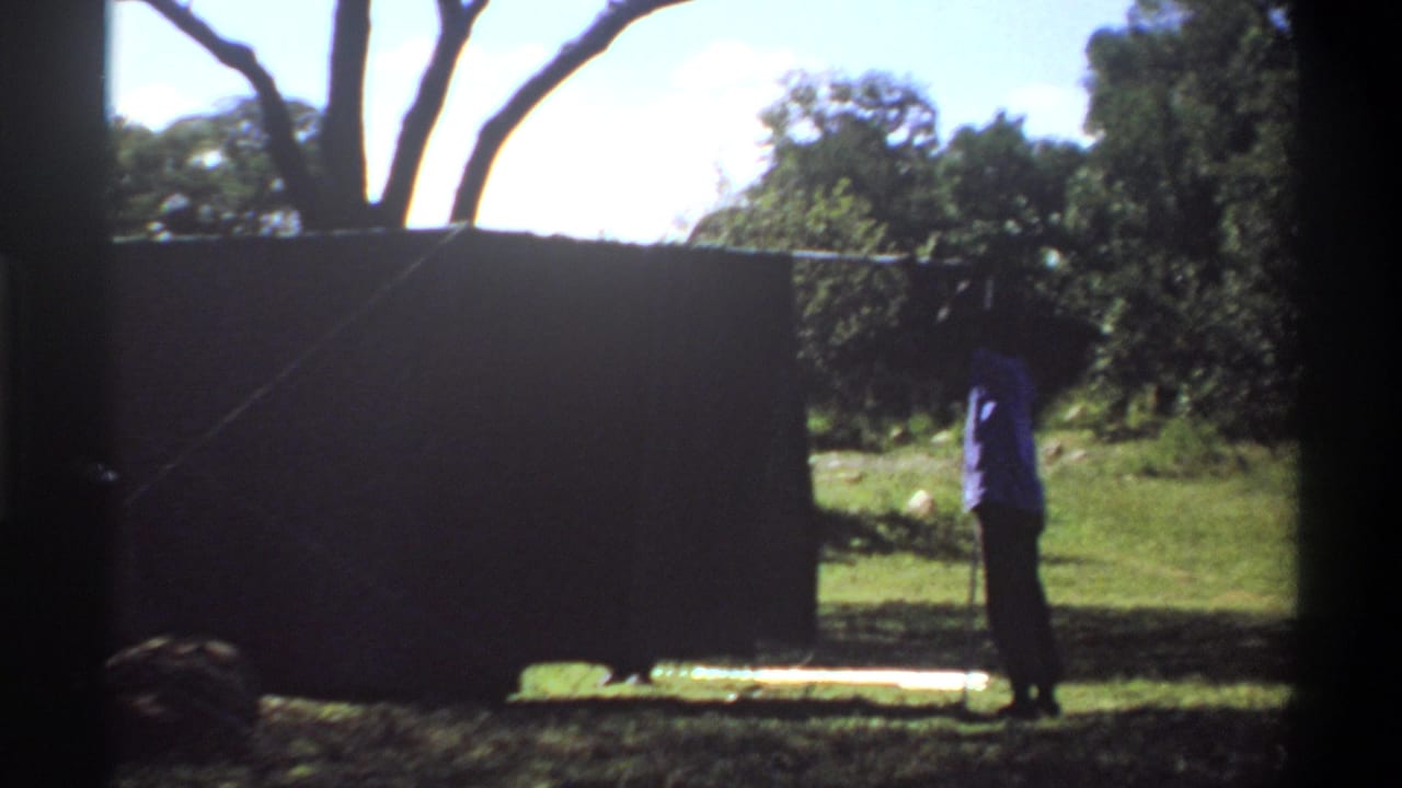 Man in a purple shirt standing beside a large dark curtain on grass under trees.