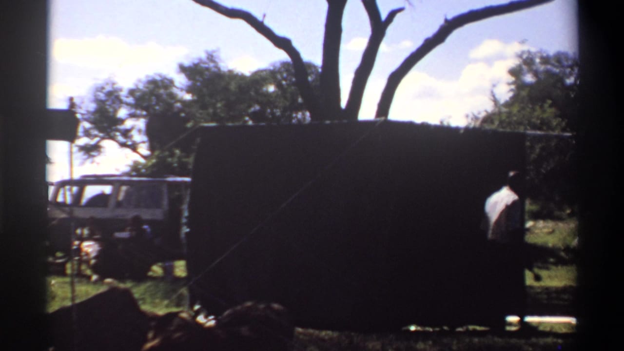 Shaded vehicle-side view of a grassy area with a vehicle, dark panel, trees, and a person partly visible.