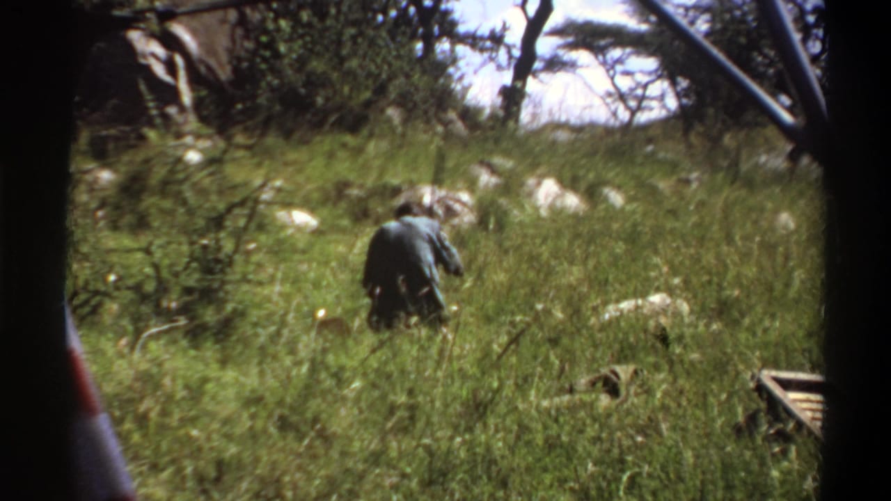 Man in a dark shirt bends in tall grass near pale rocks and trees, seen from a vehicle-side frame.