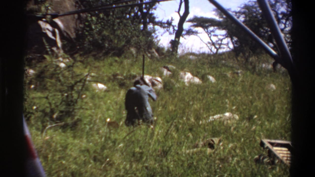 1969 Lagos frame showing a man in dark clothing holding a long-handled tool while working in tall grass among rocks and trees.