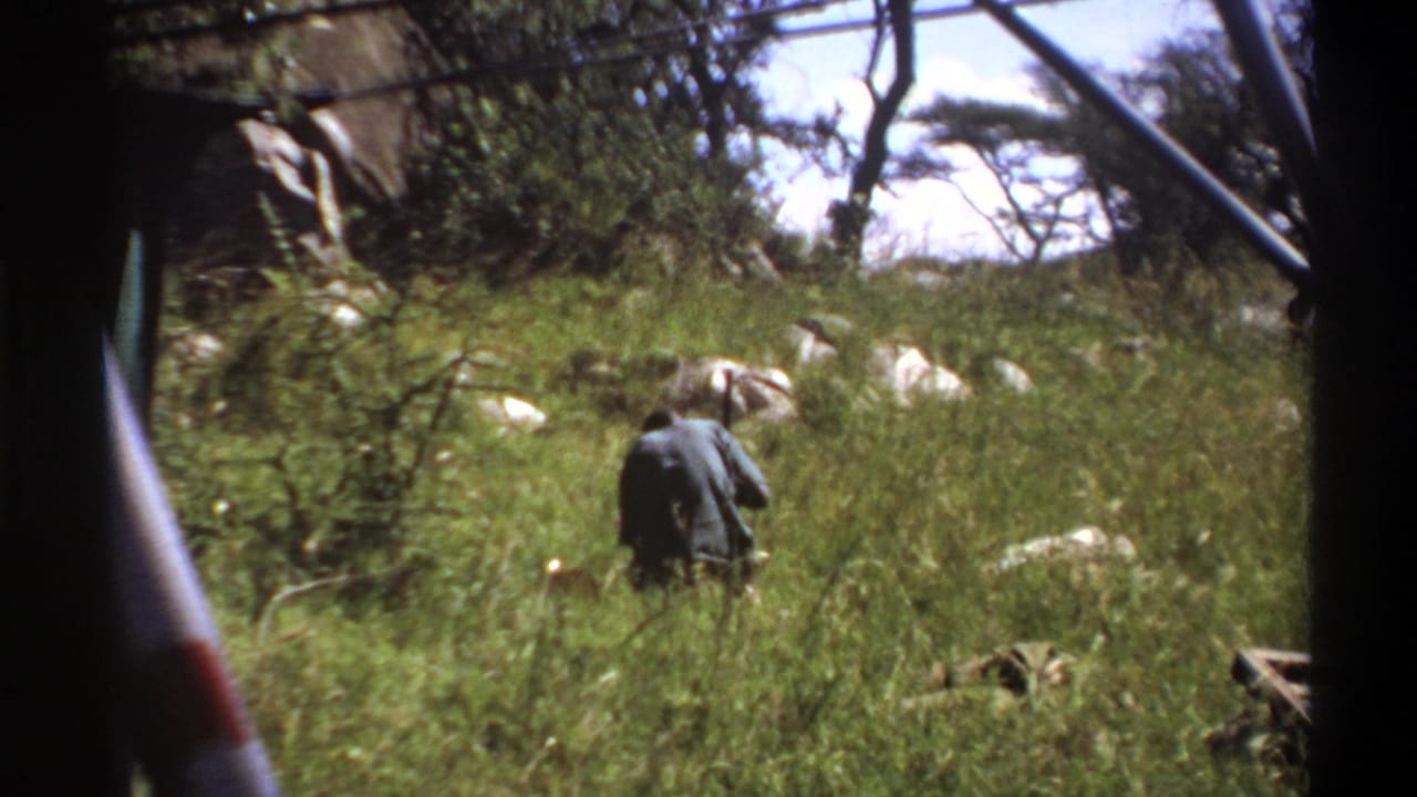 1969 Lagos home-movie frame showing a man from behind in tall green grass, with pale rocks, trees, and dark foreground framing.