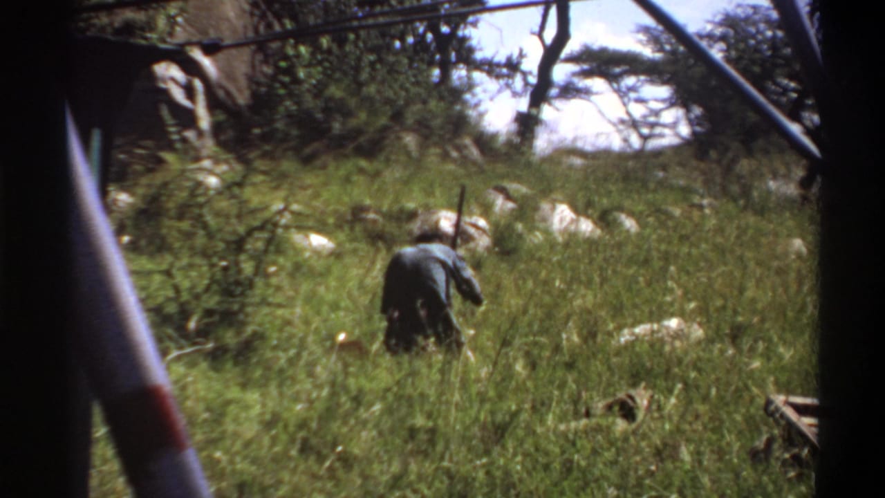 1969 Lagos 8mm frame showing a man moving through tall grass near trees and dark frame edges.