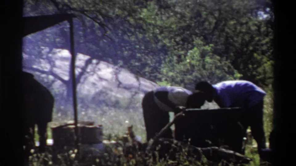 1969 Lagos home-movie frame showing silhouetted people working over camp equipment beneath a canopy in a grassy wooded area.
