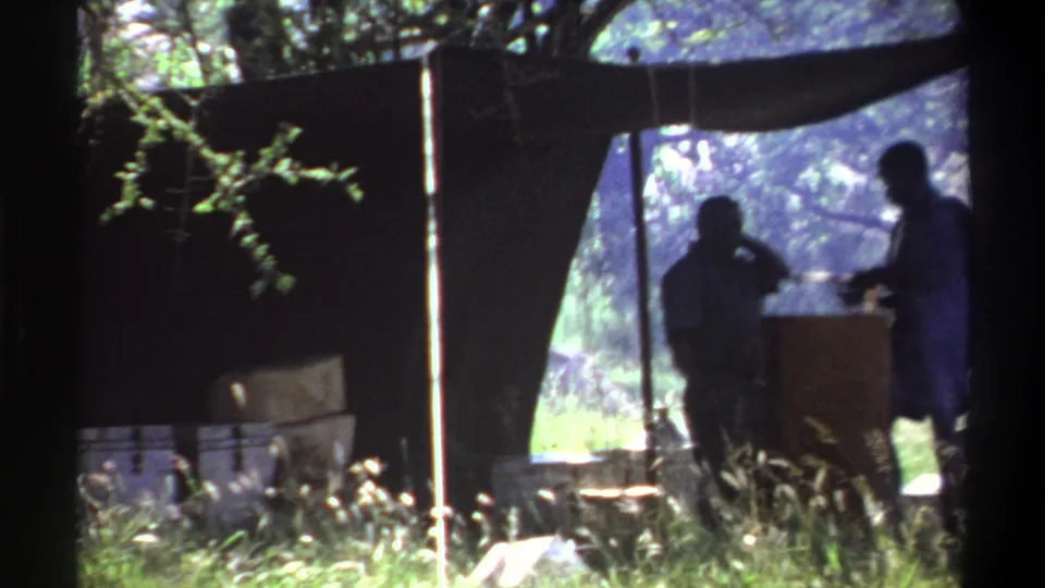 1969 Lagos 8mm frame showing two silhouetted men in a shaded tent with camp gear and grass beneath a tree.