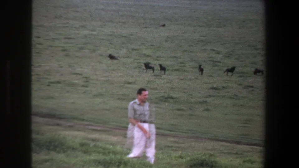 The man crosses the lower part of the grassy field while several dark animals appear farther back in the 1969 Pretoria scene.